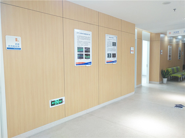 <b>案例展示</b>