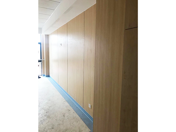 案例展示